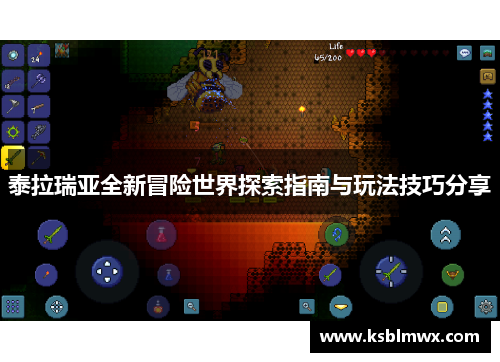 泰拉瑞亚全新冒险世界探索指南与玩法技巧分享