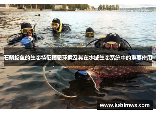 石鳞鲶鱼的生态特征栖息环境及其在水域生态系统中的重要作用