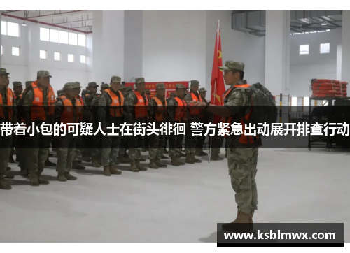 带着小包的可疑人士在街头徘徊 警方紧急出动展开排查行动
