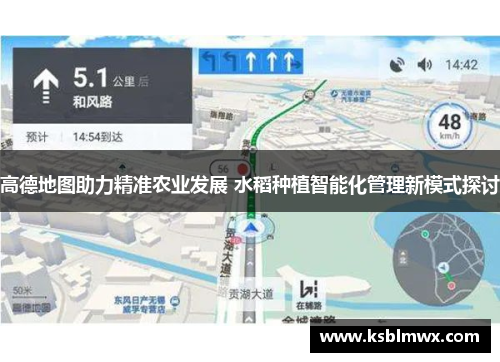 高德地图助力精准农业发展 水稻种植智能化管理新模式探讨