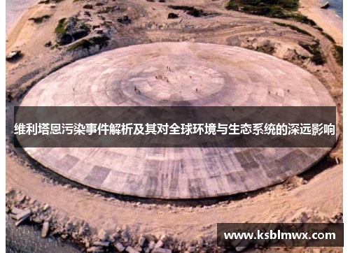 维利塔恩污染事件解析及其对全球环境与生态系统的深远影响